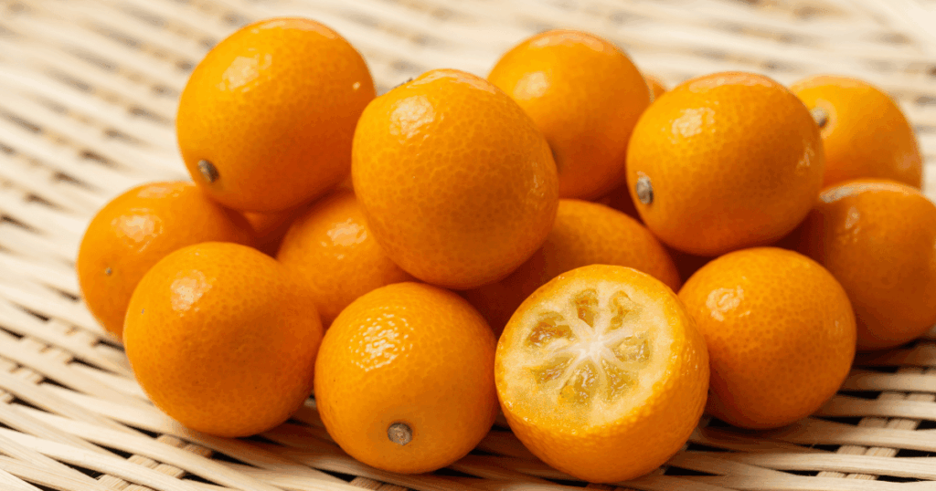 kumquat 金柑