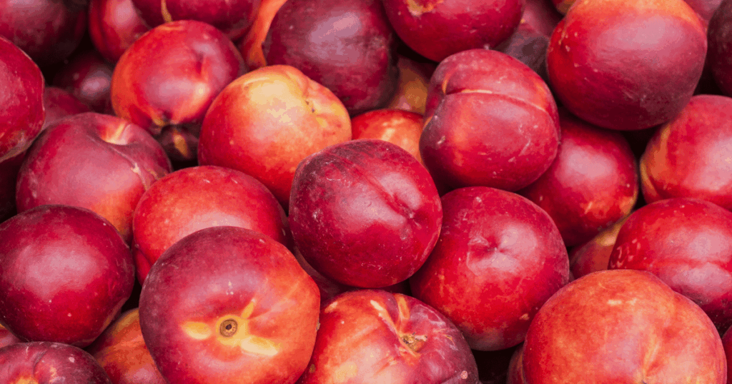 nectarine ネクタリン