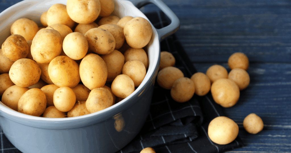 Pomme de terre じゃがいも