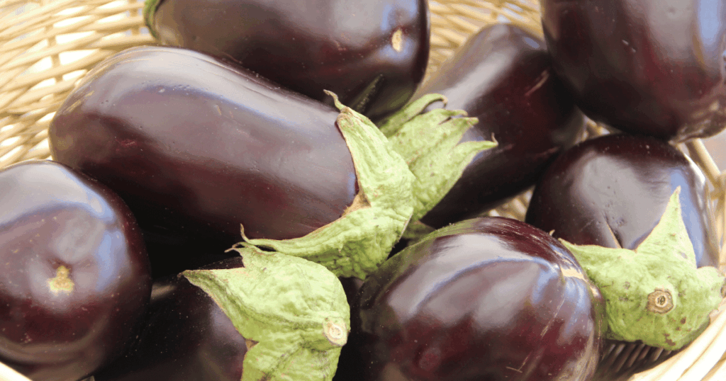 Aubergine なす