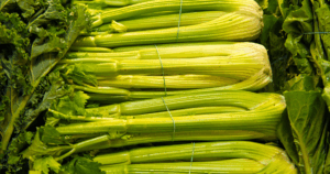 Céleri-branche セロリ