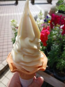 グラスイタリエンヌ Glace italienne