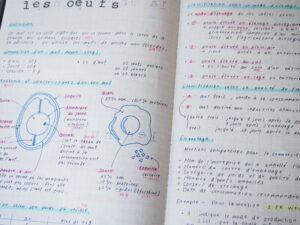 パティシエのためのフランス語ノート