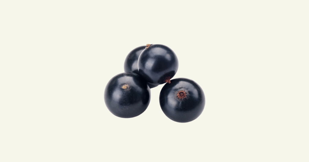 cassis　カシス、黒すぐり