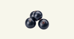 cassis　カシス、黒すぐり