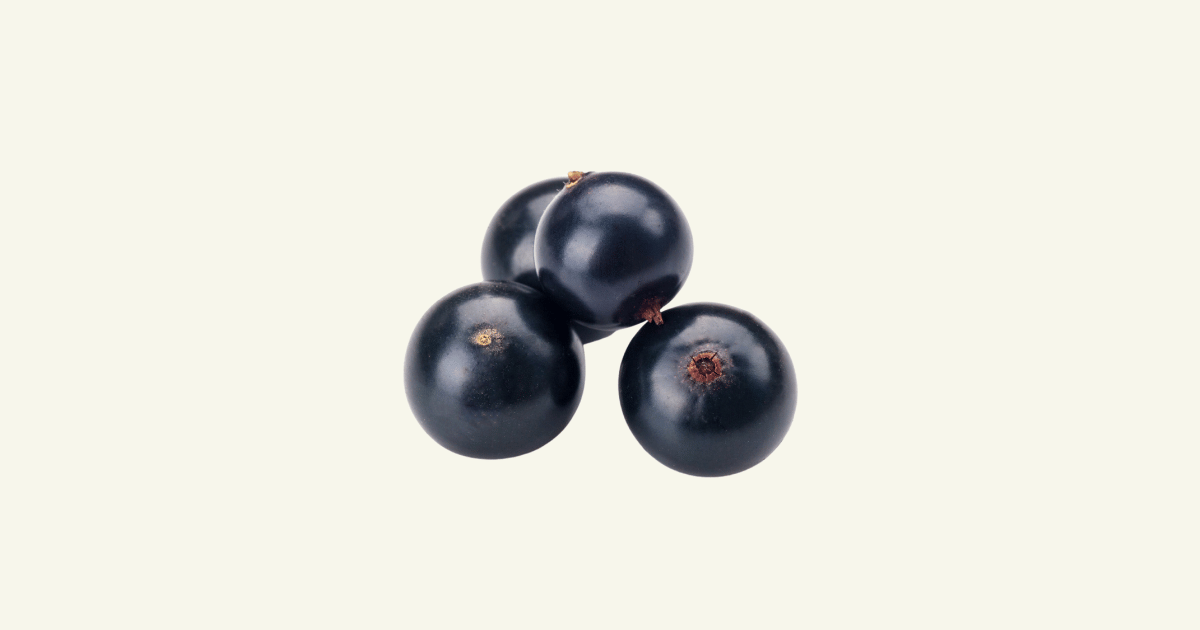 cassis　カシス、黒すぐり