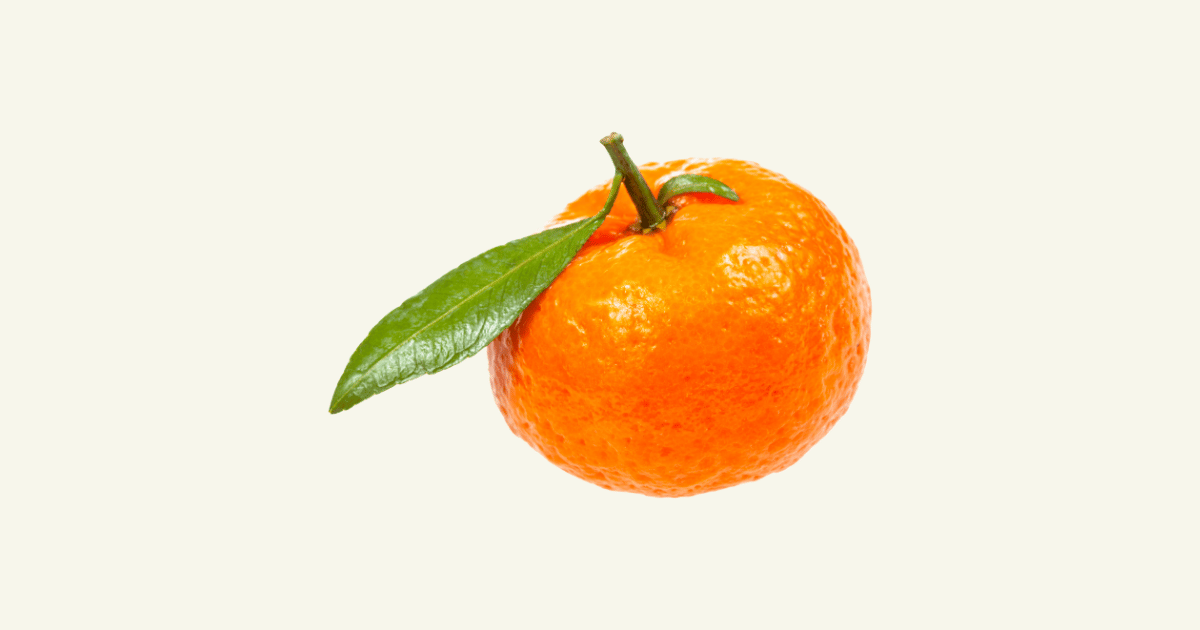 clémentine　みかん