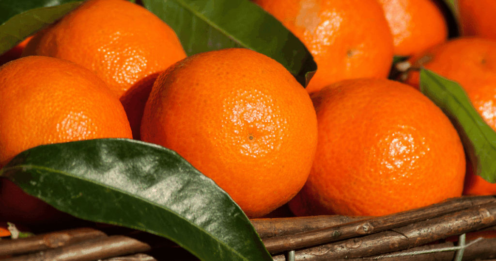 clémentine　みかん