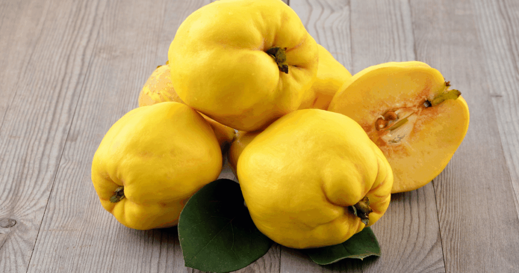 coing　マルメロの実