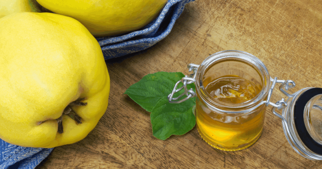 coing　マルメロの実