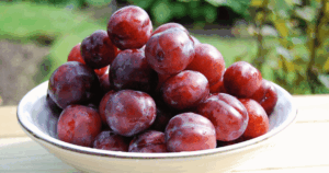 prune　プラム