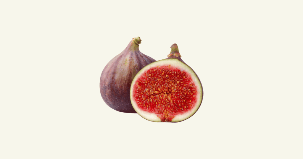 figue　イチジク