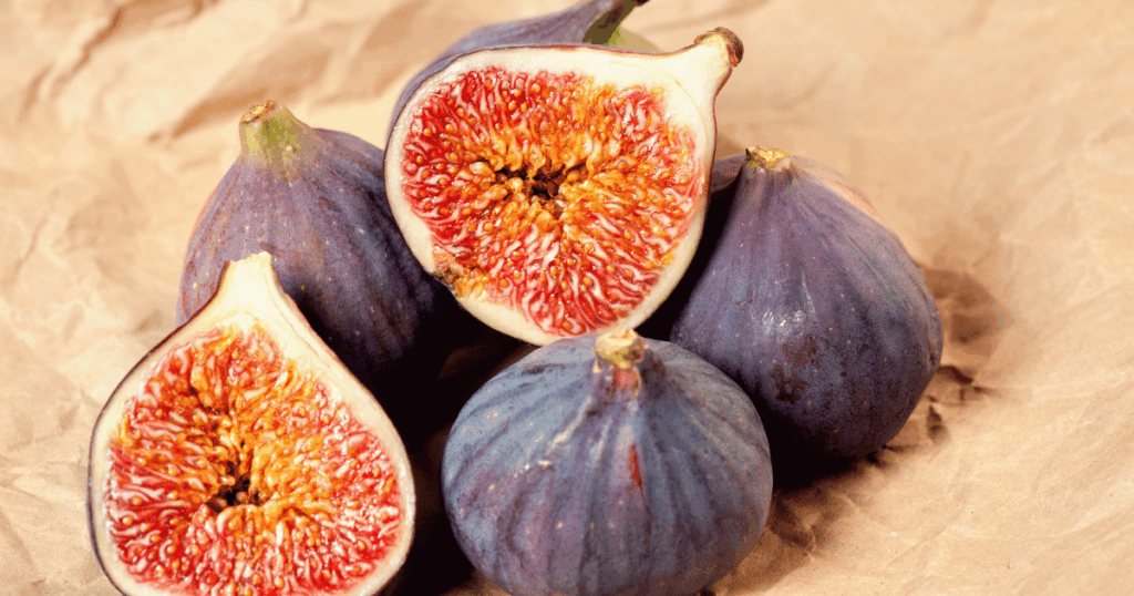 figue　イチジク