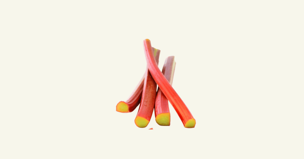 rhubarbe　ルバーブ