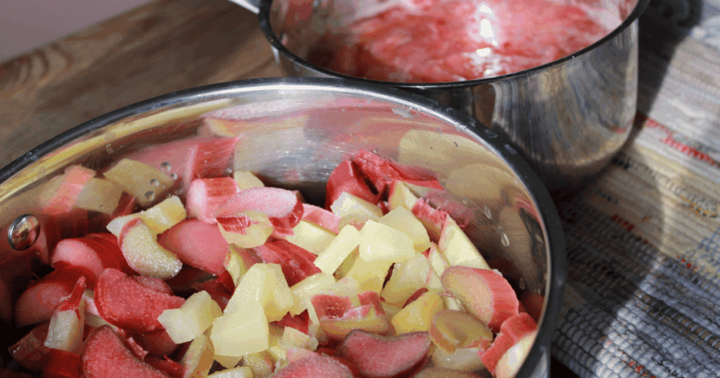 rhubarbe　ルバーブ