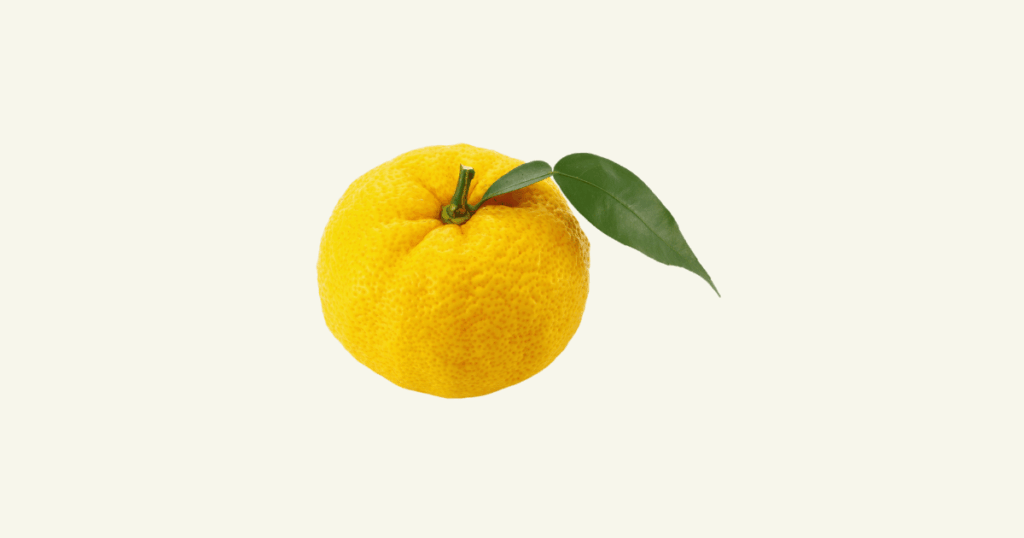 yuzu　柚子