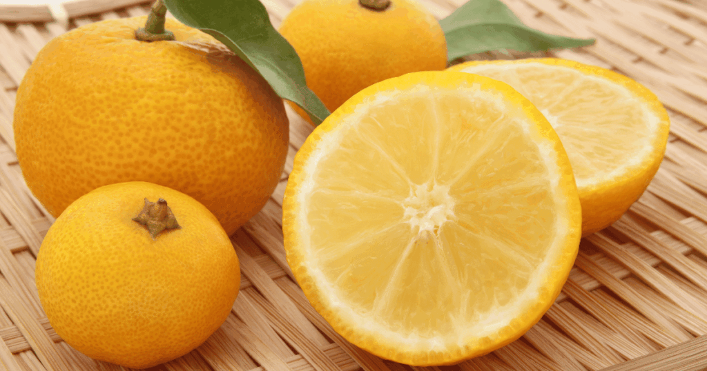 yuzu　柚子