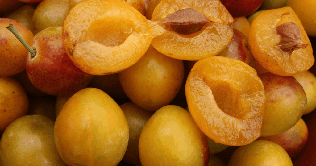 mirabelle　ミラベル