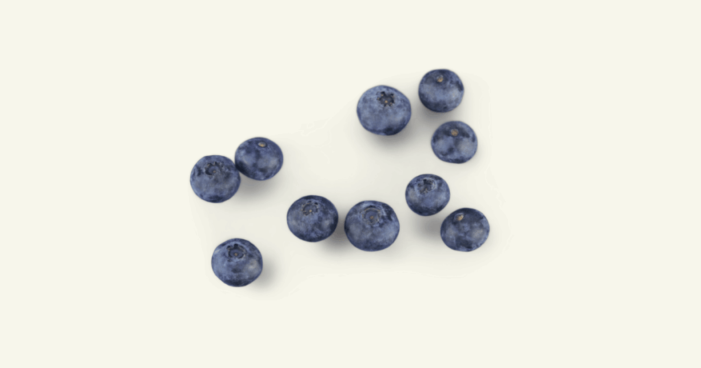 myrtille　ブルーベリー