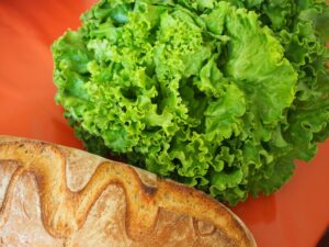 レタス laitue フランス語の単語（野菜）