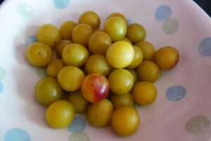 ミラベル mirabelle