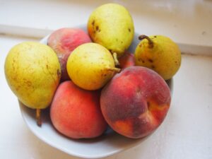 洋梨 poire フランス語単語