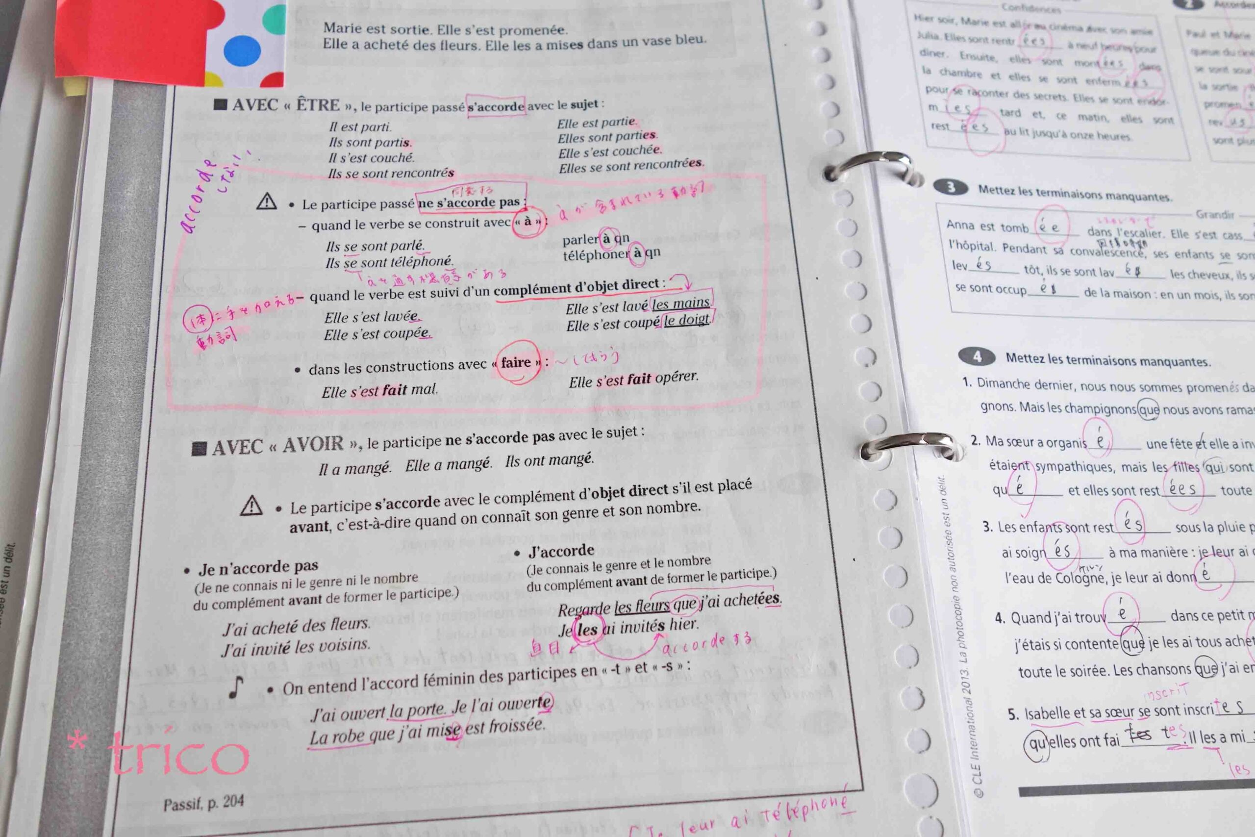 Grammaire Progressive Du Français - Intermédiaire A1 B2