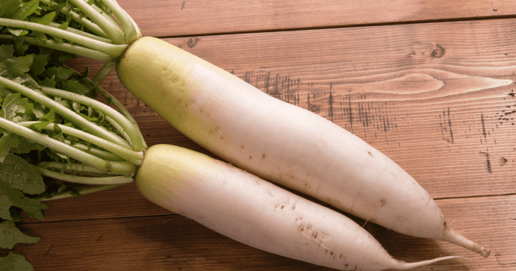 Navet　かぶ、大根