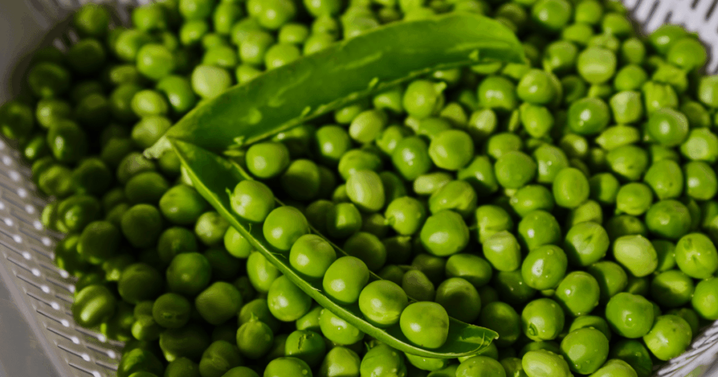 Petit pois　グリーンピース