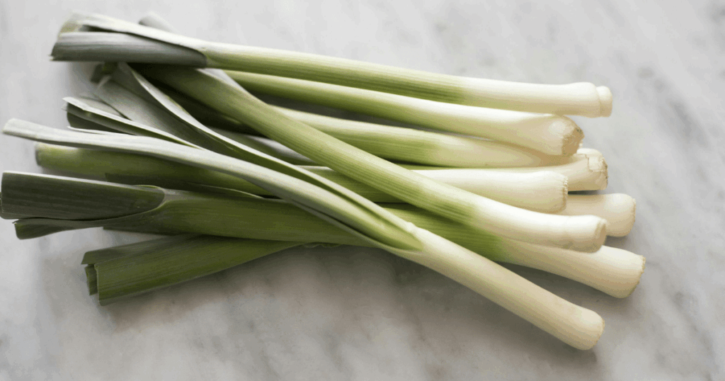 Poireau　ポワロー、ポロネギ