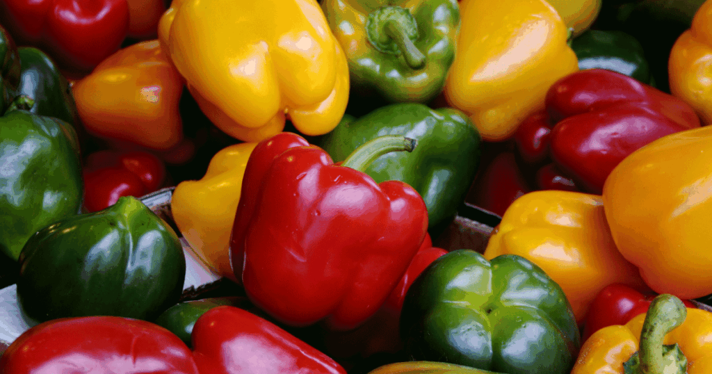 Poivron　ピーマン、パプリカ