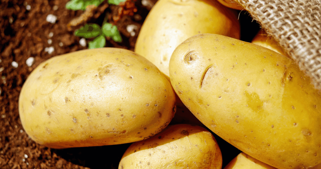 Pomme de terre　じゃがいも