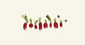 Radis　ラディッシュ