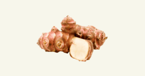 Topinambour　トピナンブール、キクイモ