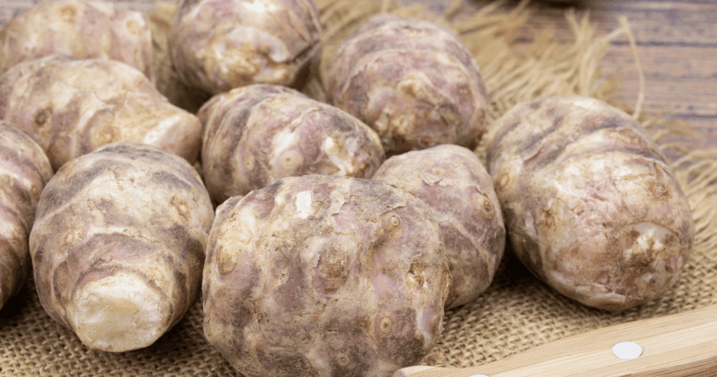 Topinambour　トピナンブール、キクイモ