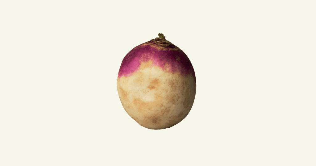 Rutabaga　ルタバガ