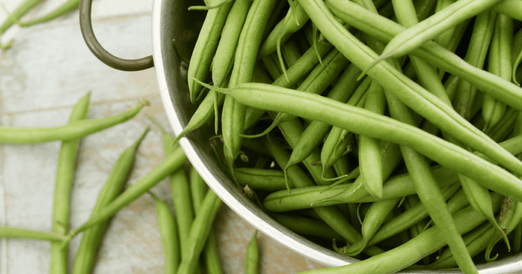 Haricot vert　サヤインゲン