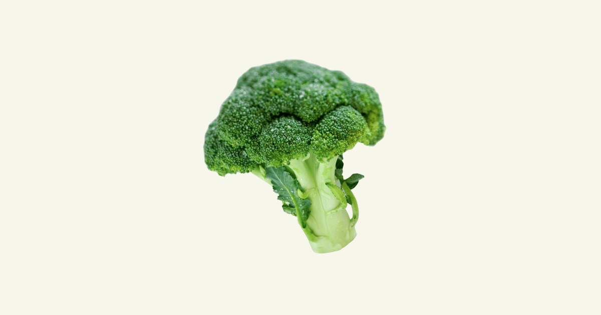 Brocoli　ブロッコリー