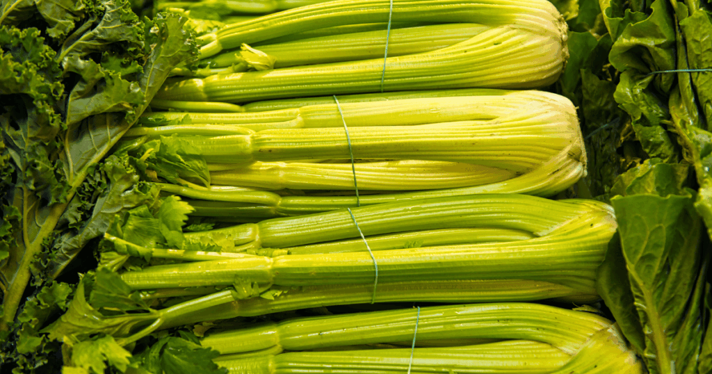 Céleri-branche　セロリ