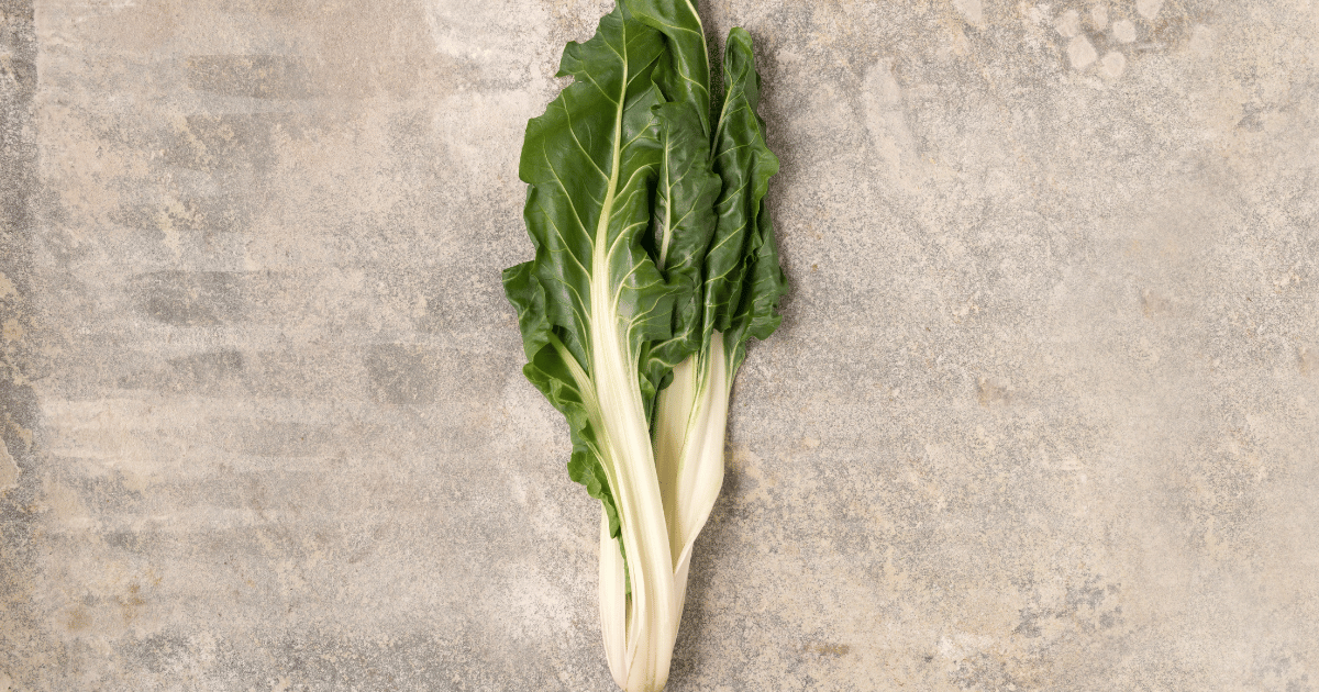 Blette　ブレット、フダンソウ、スイスチャード