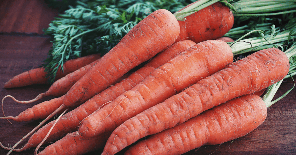 Carotte にんじん