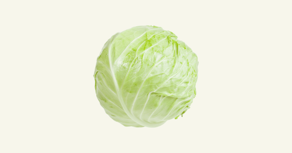 Chou blanc　白キャベツ