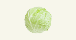 Chou blanc　白キャベツ