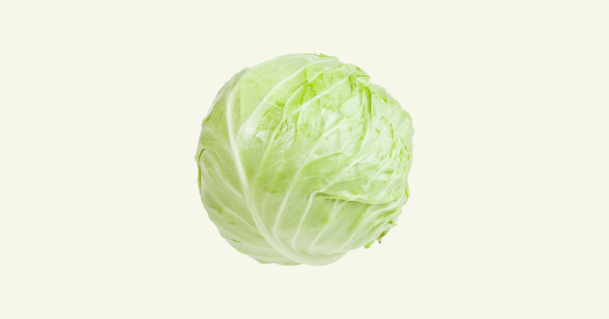 Chou blanc　白キャベツ