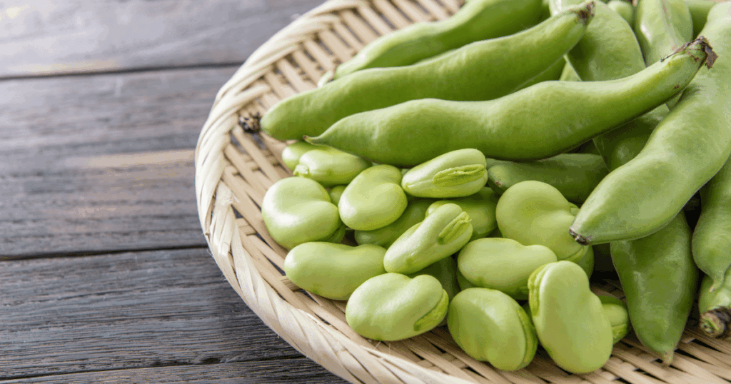 Fève　そら豆