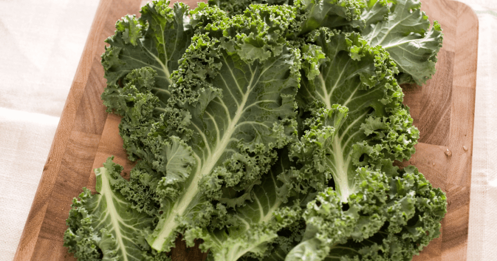 Chou kale　ケール