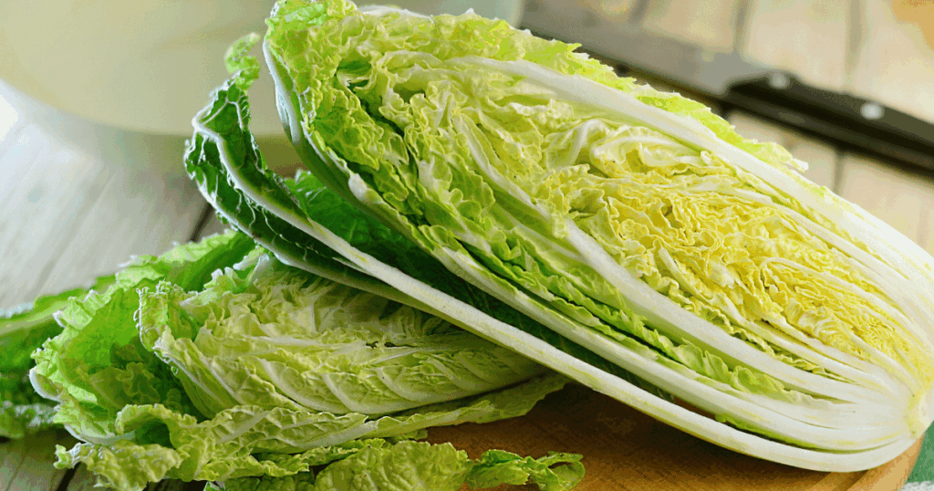 Chou chinois　白菜