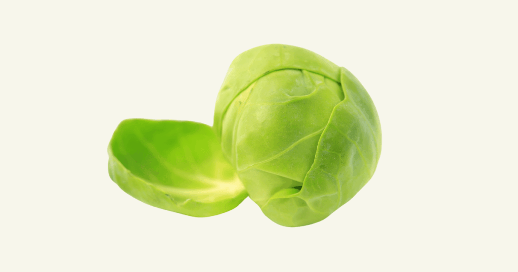 Chou de Bruxelles　芽キャベツ