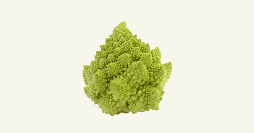 Chou romanesco　ロマネスコ