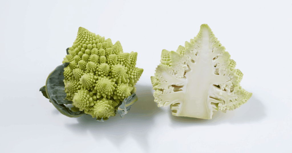 Chou romanesco　ロマネスコ